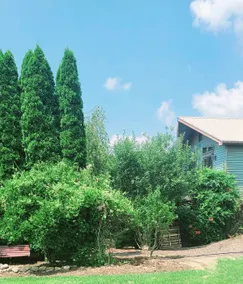 Sunny Hill Guest House close to AOAA and Knoebels. - Image 3