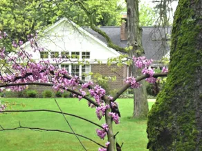Cottage on the Hill - Image 3