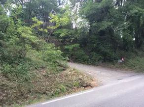 Rental on large wooded property (FR7GCM35) - Image 2