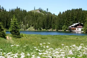 Romantic Life + balcony * Landhaus Panorama Reutte - Image 4