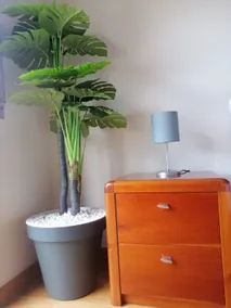 Lemon Tree Apartment - Image 4