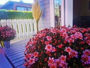 Tiny House Mehring - Image 5
