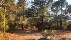 Cabin in Cerro de la Viga - Valley Views - Image 5