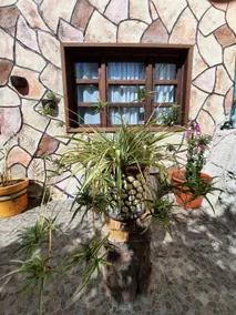 Oyamel Cabin - Image 2