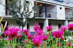 Meri's Guest House in Mestia - Image 2