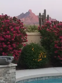 Spectacular views: Private suite - Fountain Hills - Image 3