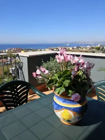 Pignalver Terrace - Image 3