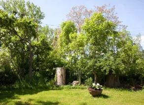 Sankt Unterholz - Image 4