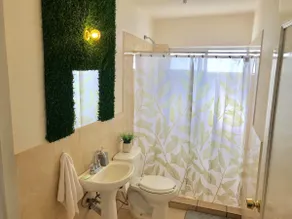 Eucalyptus - Image 4