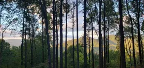 Walnut Mountain Escape - Wraparound Mountain Views - Image 4