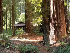 The Groves at Redway Beach - Craftsman - Image 3
