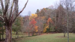 The Retreat at Parson's Glen - Image 4