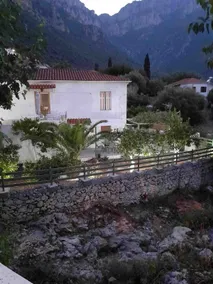 The Garden - Image 3