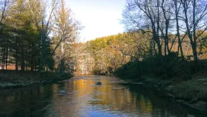 Cabin 'Solitude' Charm on The Little River - Image 3