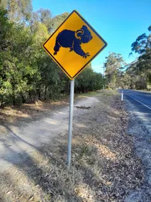 Coola studio situated in koala corridor - Image 3