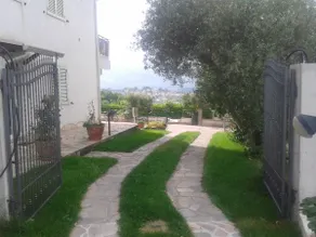 Green Roof - Image 4