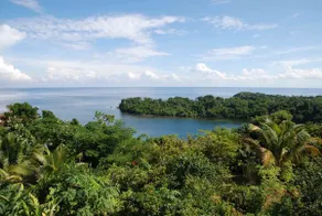 Frangipani, San San, Portland, Jamaica - Image 2