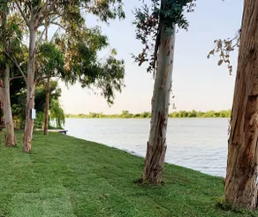 Cook's House @ Tailem Bend - Image 5
