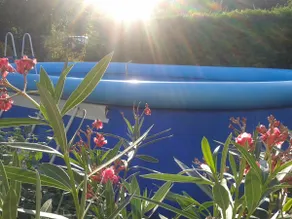 Nice wiev with pool - Image 2