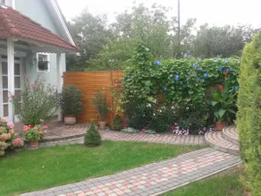 Nice wiev with pool - Image 4