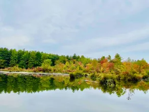 Smuk 4 sæson Lakefront Chalet i Poconos! - Image 3