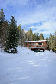 Cabin Retreat in Big Woods w/Starlink! - Image 3