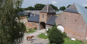 Ribeaufontaine: The Little Gîte - Image 2