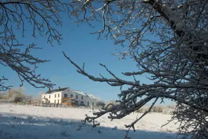 Penddaulwyn Uchaf Farm # Carmarthenshire - Image 5