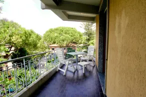 The Green Corner - Image 5