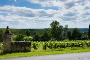La Ligassonne, Grande Maison, Calme, 25 km von Bordeaux entfernt - Image 3