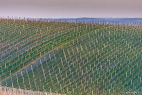La Ligassonne, Grande Maison, Calme, 25 km von Bordeaux entfernt - Image 4
