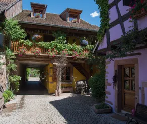 POTAGER: apartment, 1st floor, Alsatian house - Image 3