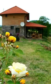 Ethno house Ostrvica - Image 5
