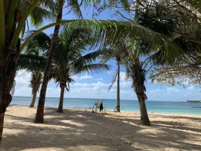 Direct Oceanfront - Sandy Beach, Spectacular View - Image 4