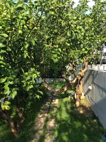 2 floor house, with garden, peaceful & great view - Image 4