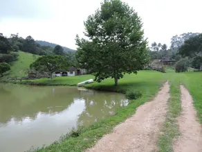 Farm in Angelina-SC - Pedacinho do Céu - Image 2