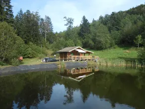 unusual cottage with pond in the middle of the forest - Image 3