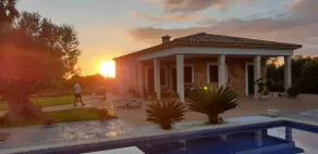 Large pine forest villa with pool - Image 3