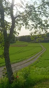 Lovely old farmhouse by the Halden watercourse - Image 5