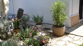 2+1 -Separated-Private entrance and garden - Image 5