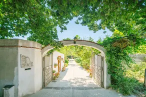 ”Monsone” house in the lemon grove with access to the sea - Image 2
