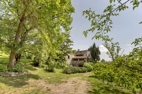 Il Cerretino Mugello! peaceful country house - Image 5