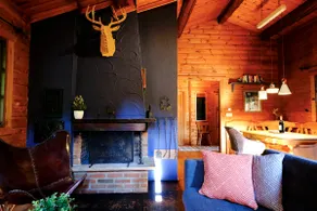 Hytte Willingen - Cozy wooden hut in the uplands - Image 2