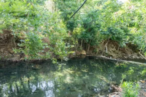 River house 2 - Image 5