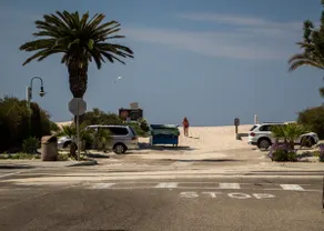 Sunny Beach Condo - Late Sept & Oct Dates Open! - Image 2