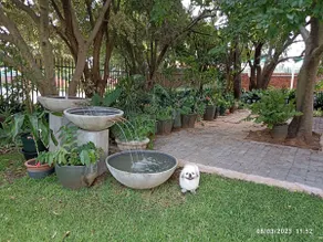 Central, Spacious 2-Bed Mid/Long-stay Apartment - Image 4