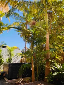 Akai Hana-Hot jacuzzi-perfect location - Image 5