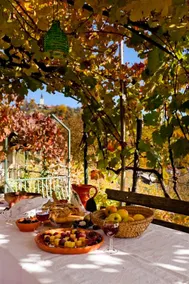 Vineyard Cottage Vercek - Image 4