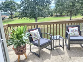 Comfy and Bright wView, 5 Branson Strip/Lake, Fish - Image 3