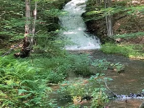 6 Acre Beach Lake Paradise. Walking dist. to LAKE! - Image 4